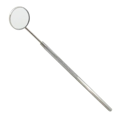 P377a.jpg