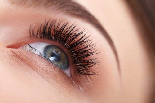 rzesy1.jpg