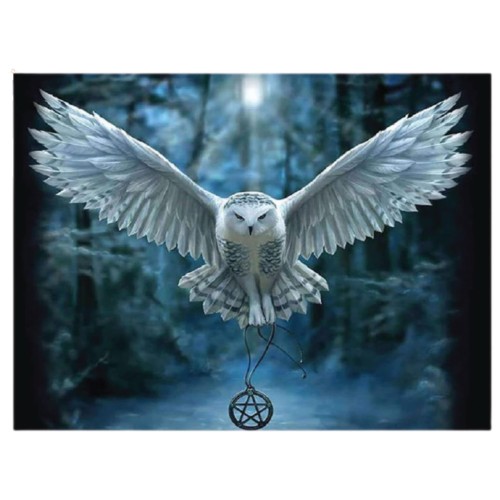DP218-min.jpg
